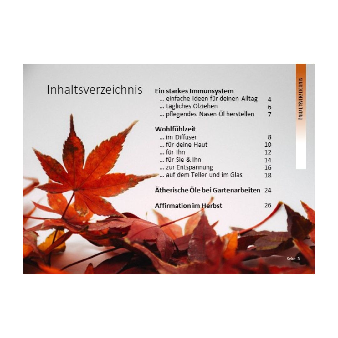 Pocket Guide für Herbst von Tamara Marti - Deutsch