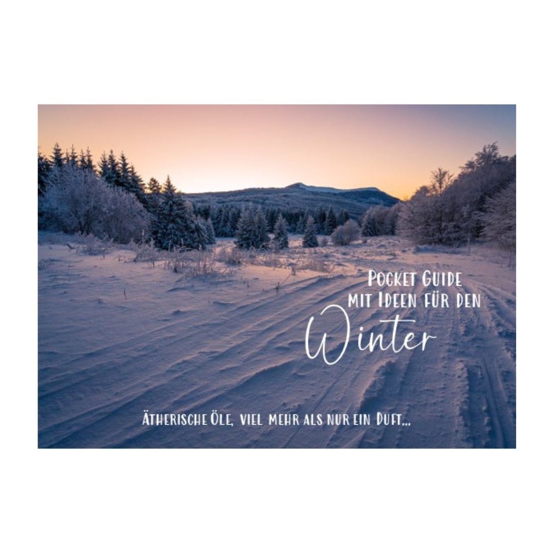Pocket Guide für den Winter von Tamara Marti - Deutsch
