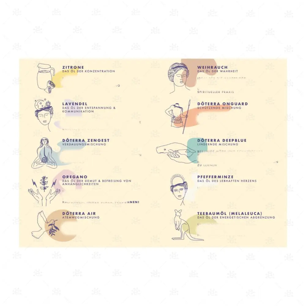 Top 10 ätherische Öle (10er Pack)
